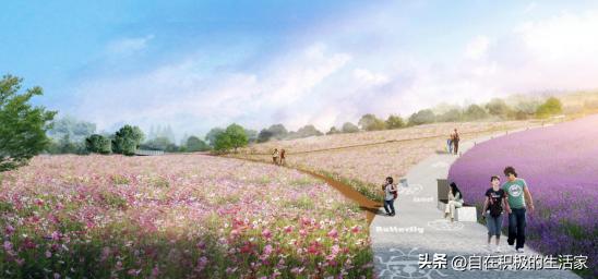 照母山中央公园,照母山和中央公园哪边发展好