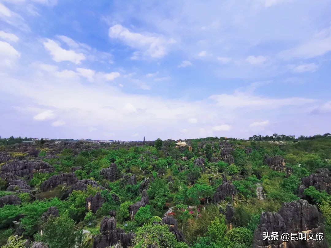 昆明一日游小众打卡景点冬天,小众的昆明周边度假景点