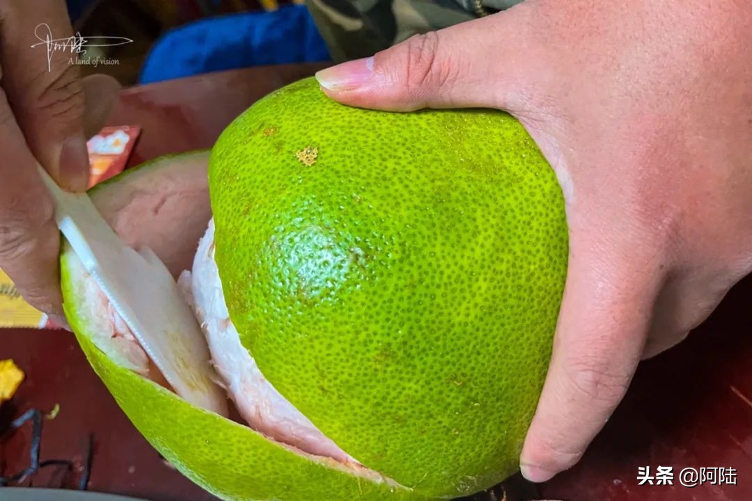 泰国红宝石青柚有前景吗,泰国红宝石青柚优缺点