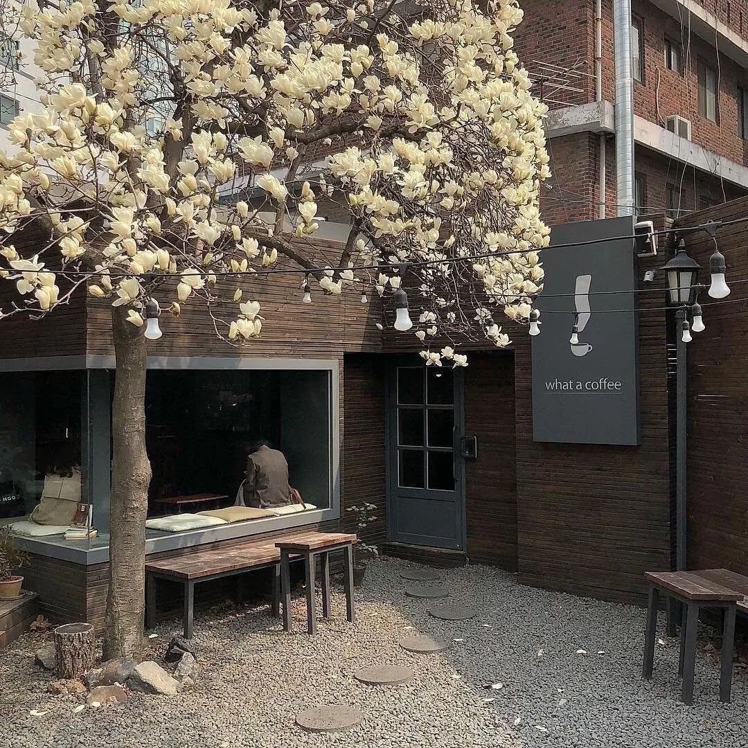 背景图ins风鲜花,ins复古黑色鲜花壁纸