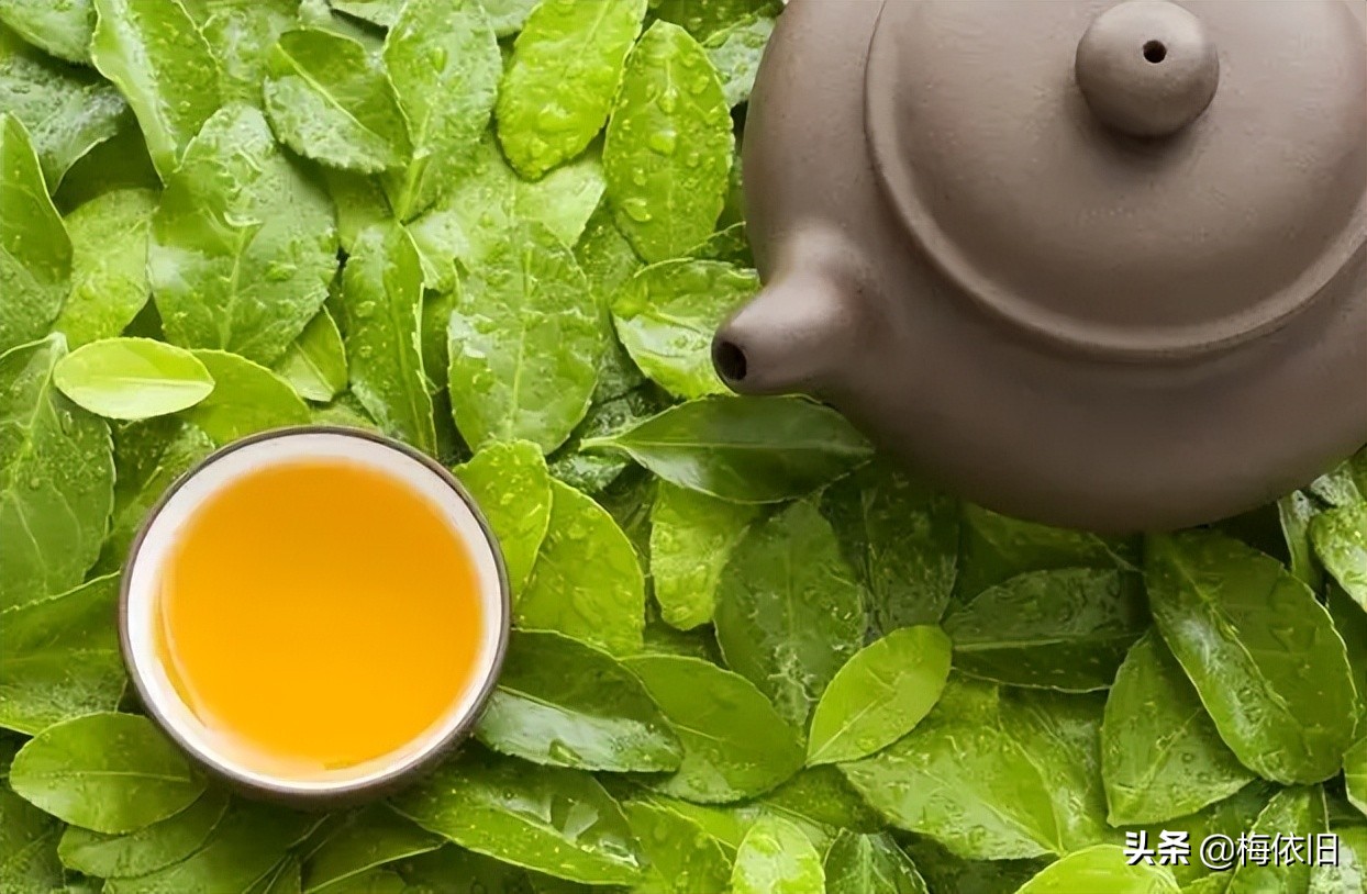 夏天喝哪一种菊花茶比较好,夏天清火菊花茶