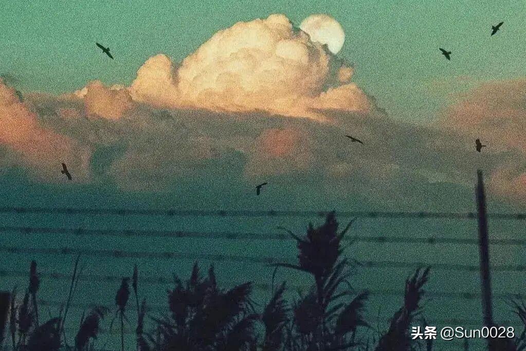 友谊的文案和感情的文案,友情文案关于友情的高逼格文案