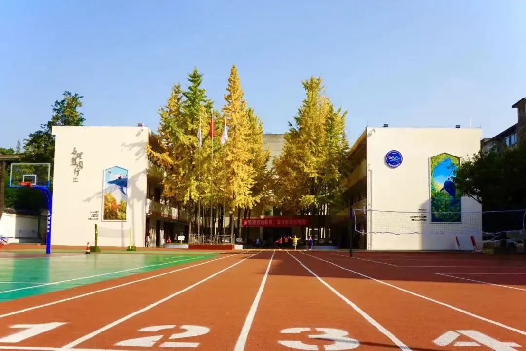 成都教科院全国排名,成都教科院有几个初中