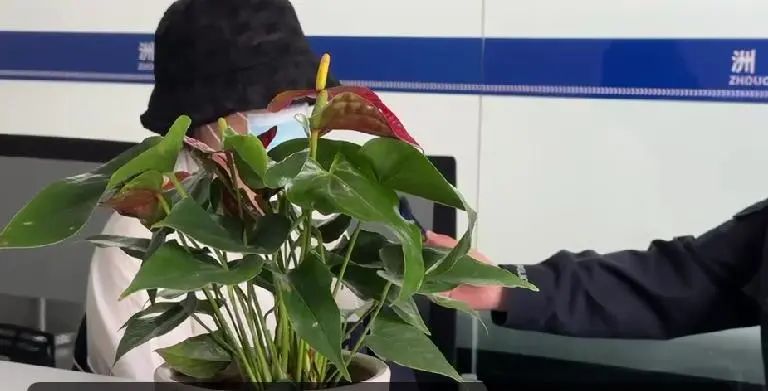 警惕顾客的套路,警惕客户的十种行为