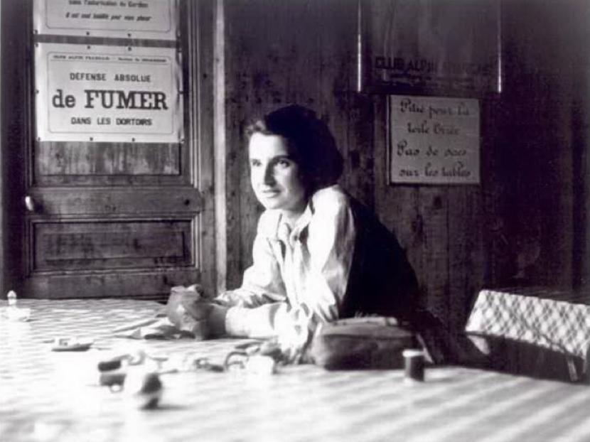 一个35岁的大龄博士和一个23岁的菜鸟博士后如何联手改变了世界?