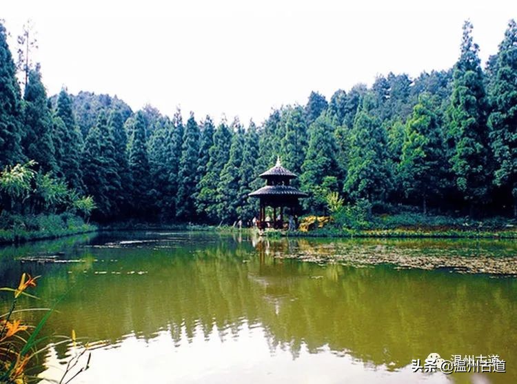 温州市2022年人口最多的镇,温州市各乡镇人口排名