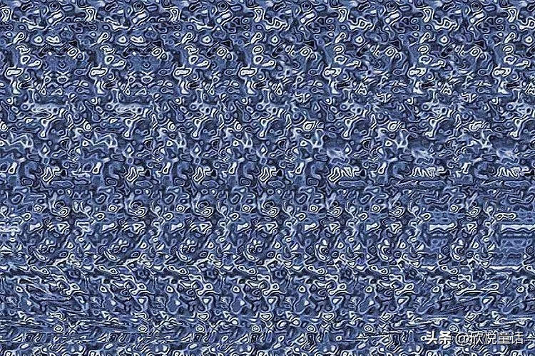 斑点狗正面照,斑点狗的真实资料