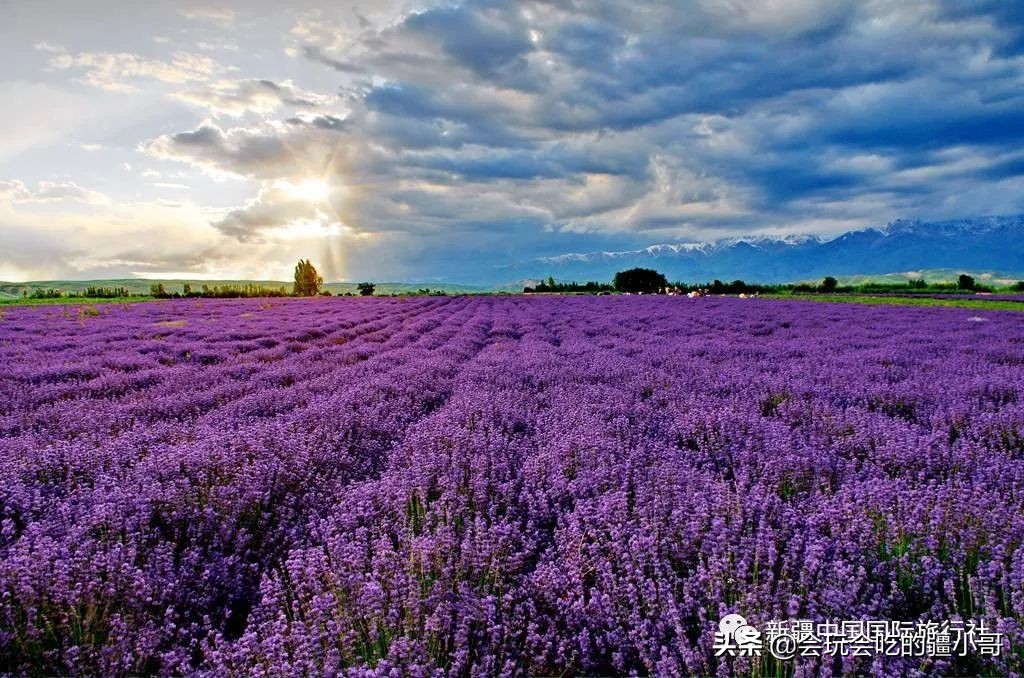 最全新疆旅游攻略20天,从新疆去哪个国家旅游最好