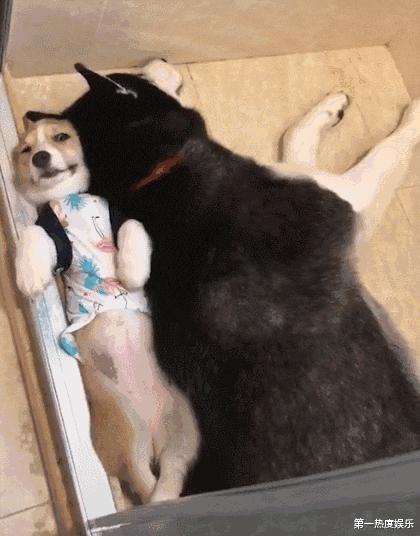 “我再也不想跟老公一块睡了”网友：我出50块，把床铺大点哈哈哈