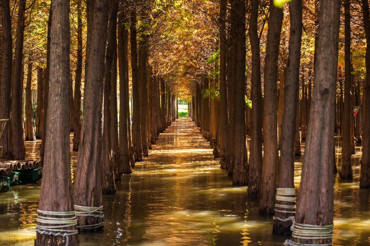 断崖式降温一夜入冬,冬季避寒旅居最适宜的地方