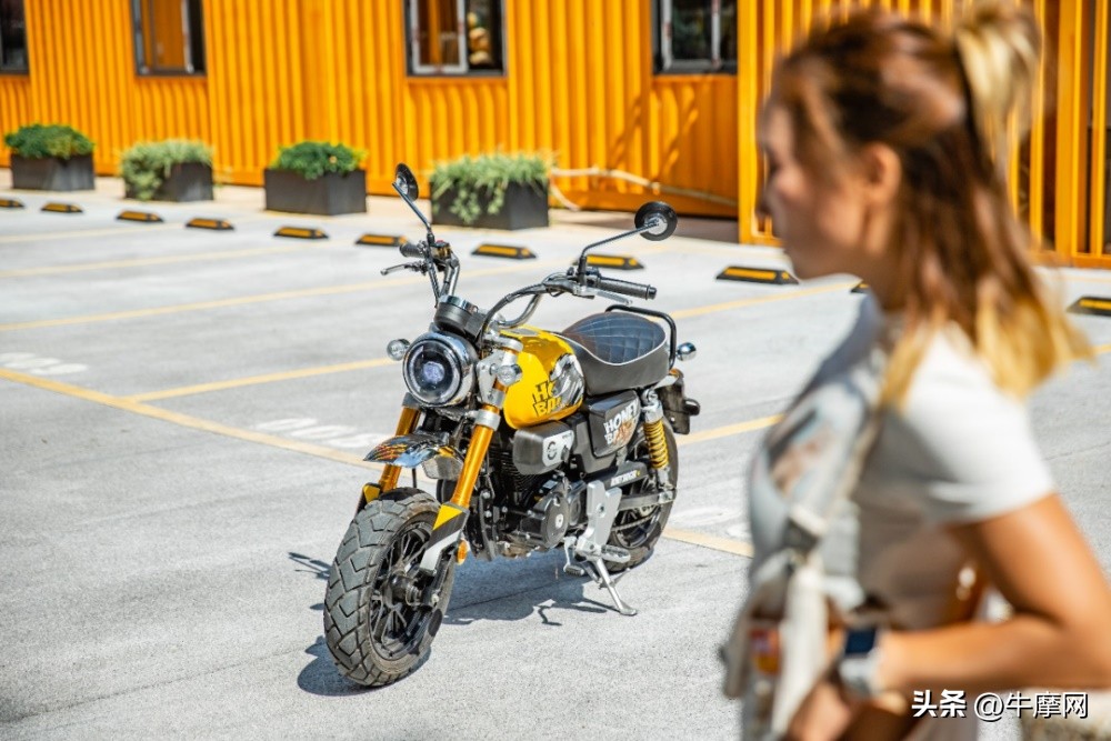 银钢150和蜜獾怎么选,平头哥蜜獾的战斗力有多强