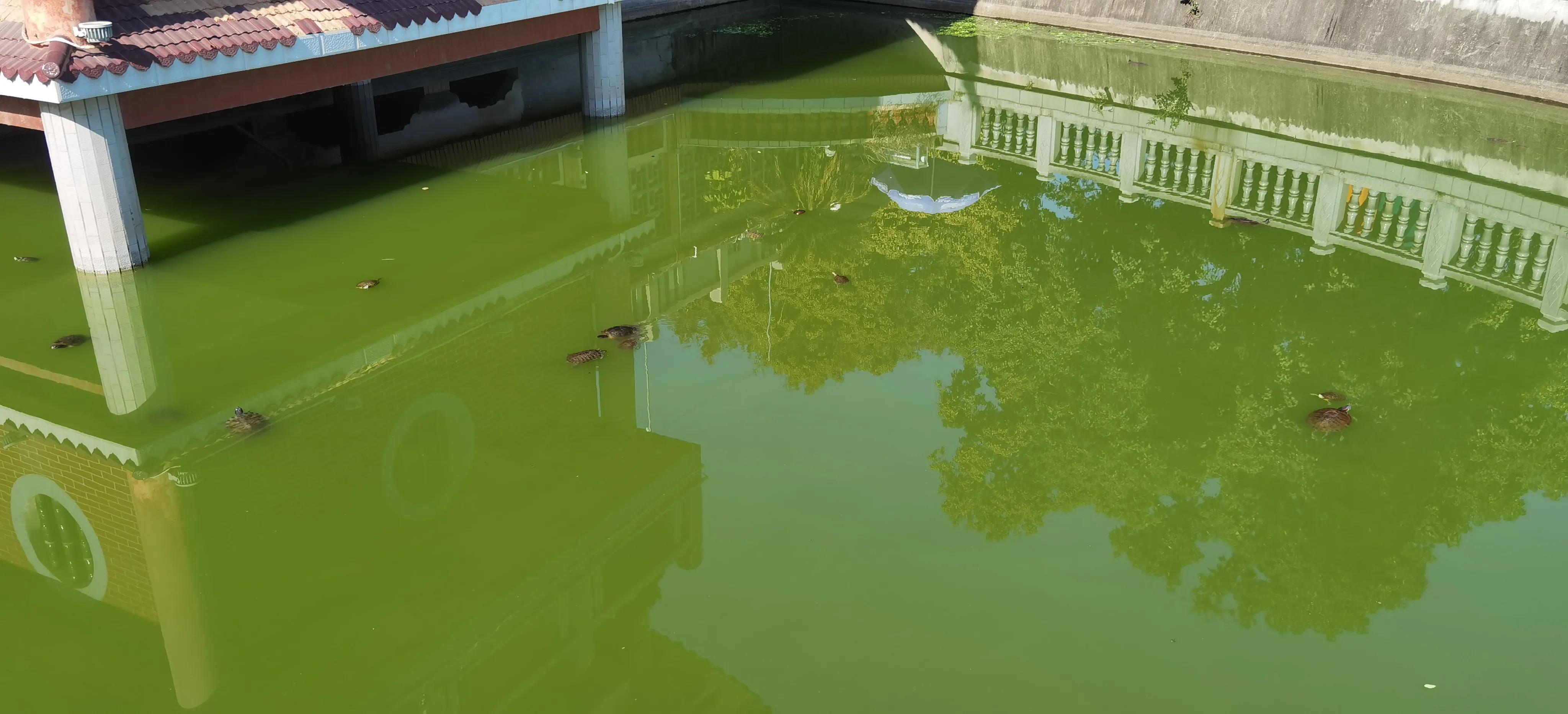 西山岩寺旅游攻略,西山岩之行