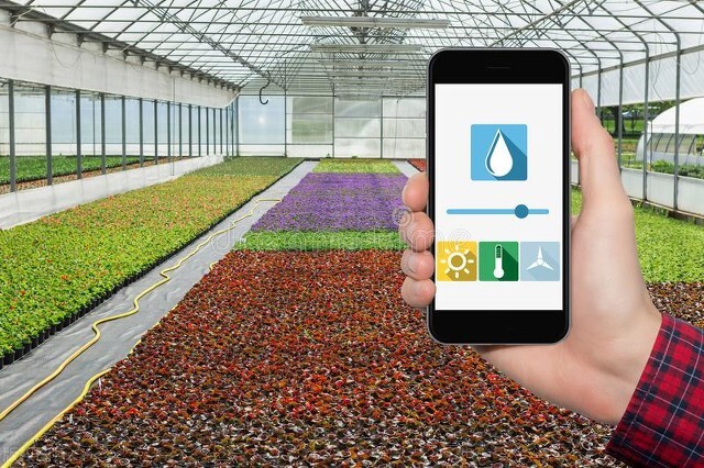 国有农场经营模式有哪些,农场直供模式的盈利模式有哪些