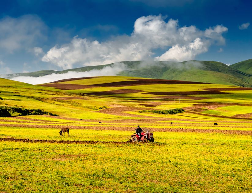 川西阿坝旅游详细攻略地图,川西阿坝旅游攻略三天