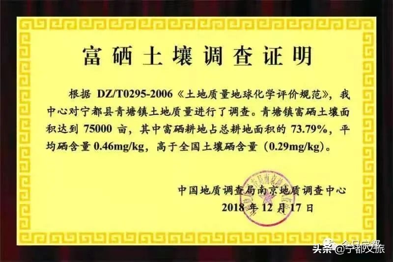 宁都是个好地方完整版,宁都是个好地方是谁说的