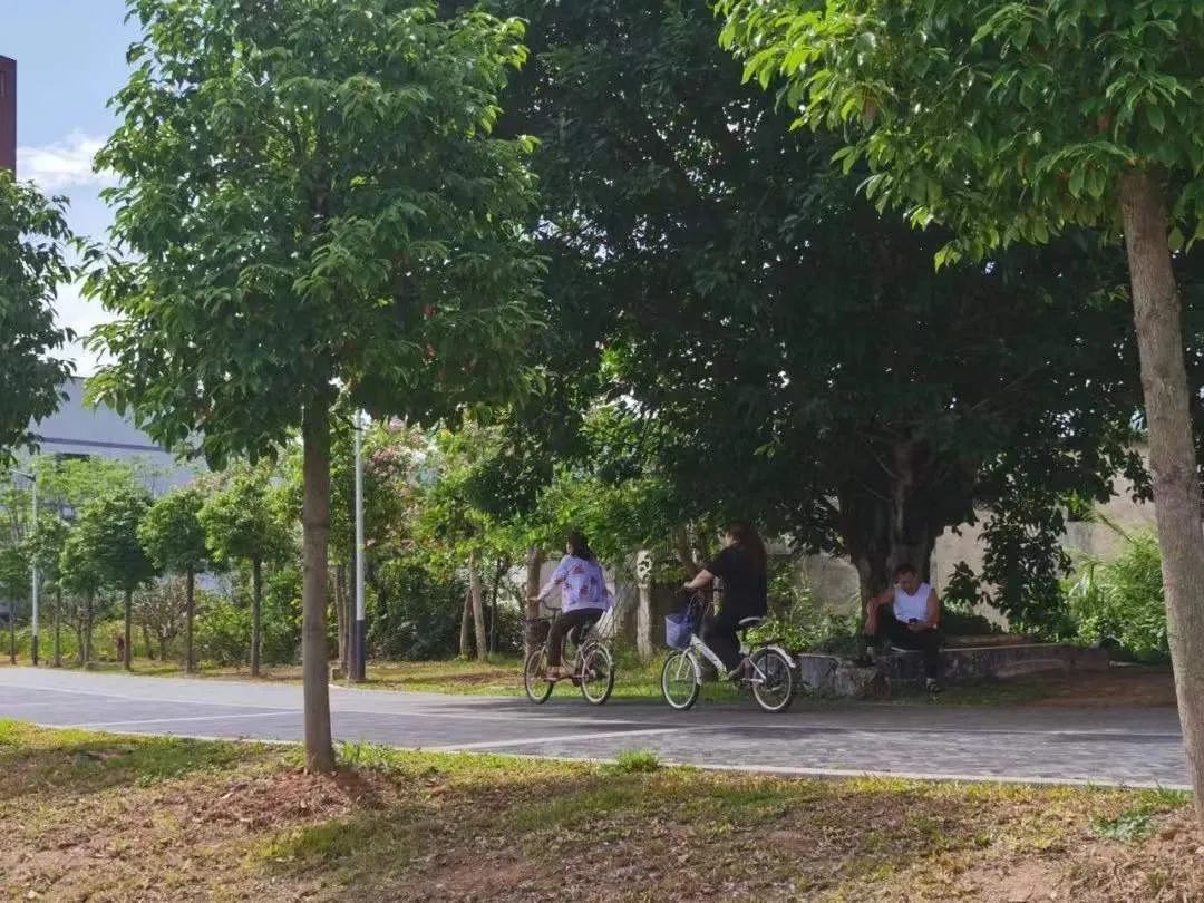 深圳一季度经济数据出炉,深圳一季度经济数据解读