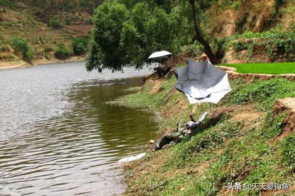 怎么走水钓浮不走漂,遇到走水不好钓鱼怎么办