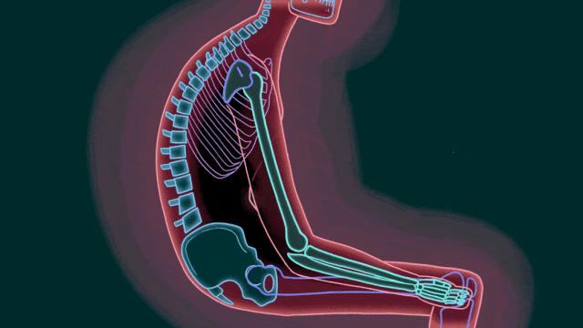 有肚腩但是很瘦该减脂肪还是增肌,瘦人内脏下垂