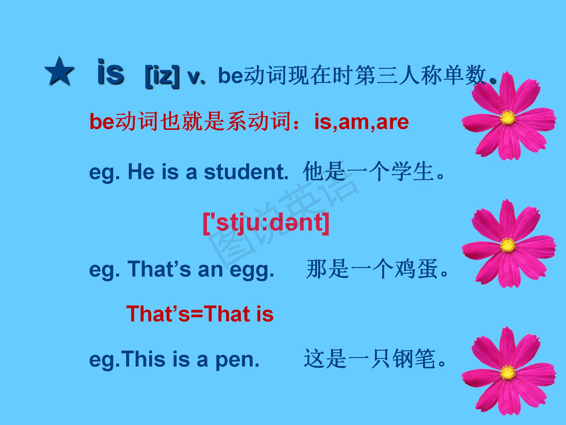 新概念第一册知识点总结课件,新概念英语第一册31到32课课件