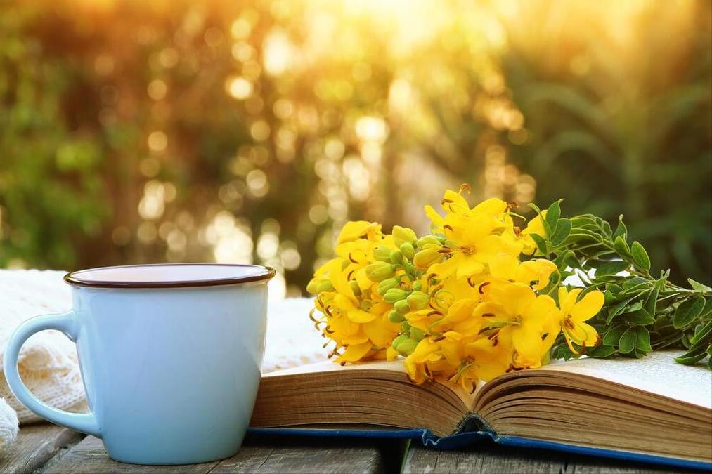 这4款小工具很实用建议收藏,好用工具软件推荐