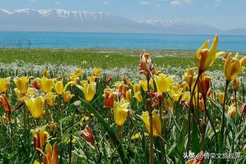 大美新疆的风景有哪些,大美新疆北疆美
