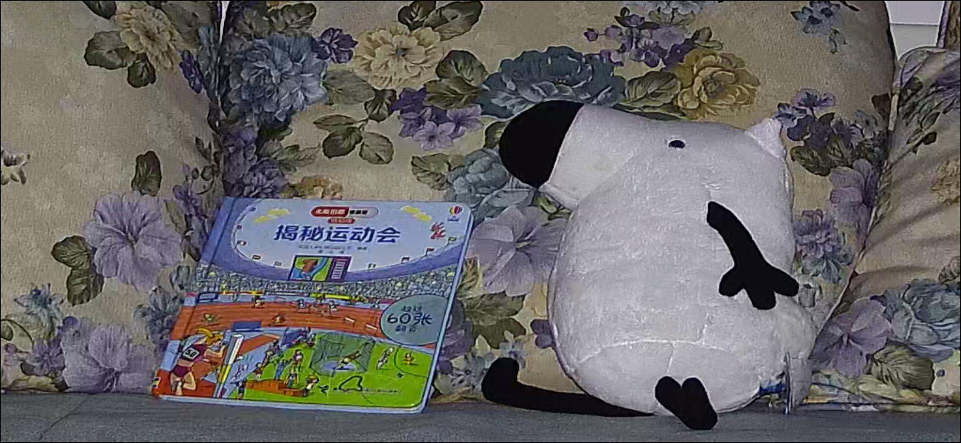 最新家用摄像头功能介绍,家用摄像头安全性排名