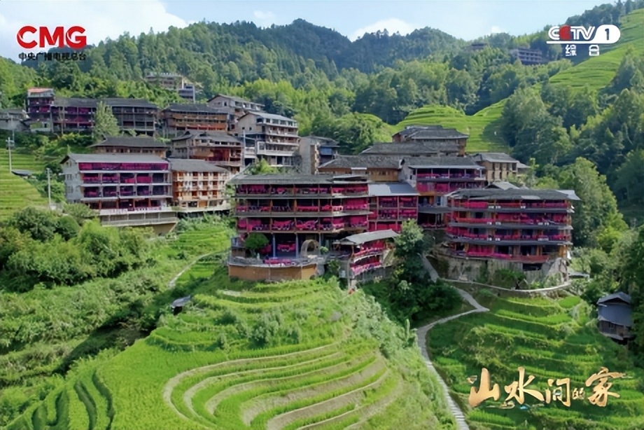 种田就是种风景！《山水间的家》见证乡村十年绿色蝶变