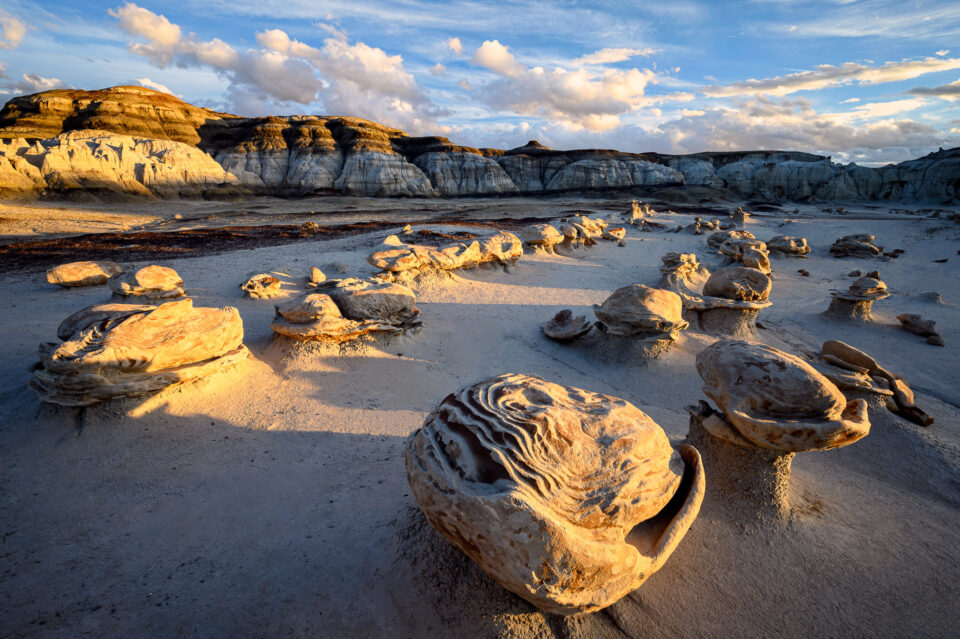 无反相机和单反相机的区别,单反相机和无反相机直播