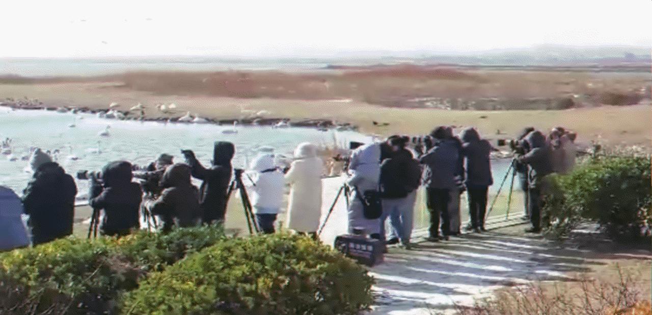 今年金秋银滩大拇指广场如果组织一场暮年婚礼秀，您来嗨不嗨？