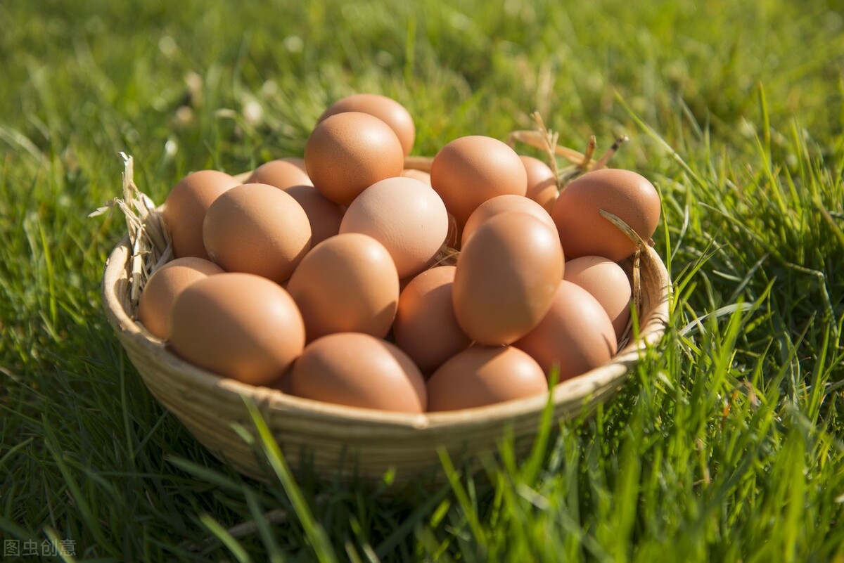 一毛钱的鸡蛋，如何盈利过百万？