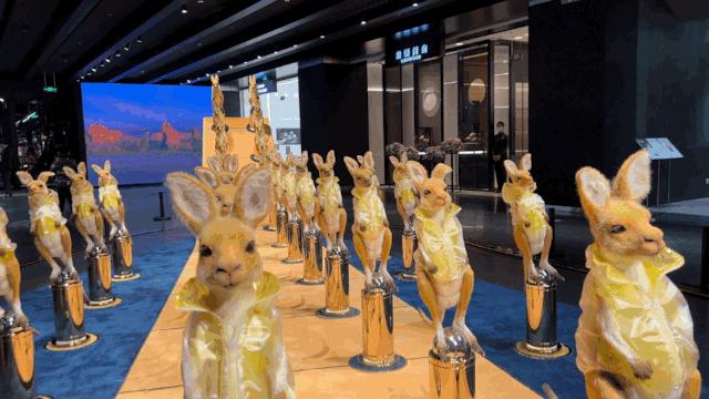 北京dt51商场,北京大屯dt51商场开业时间