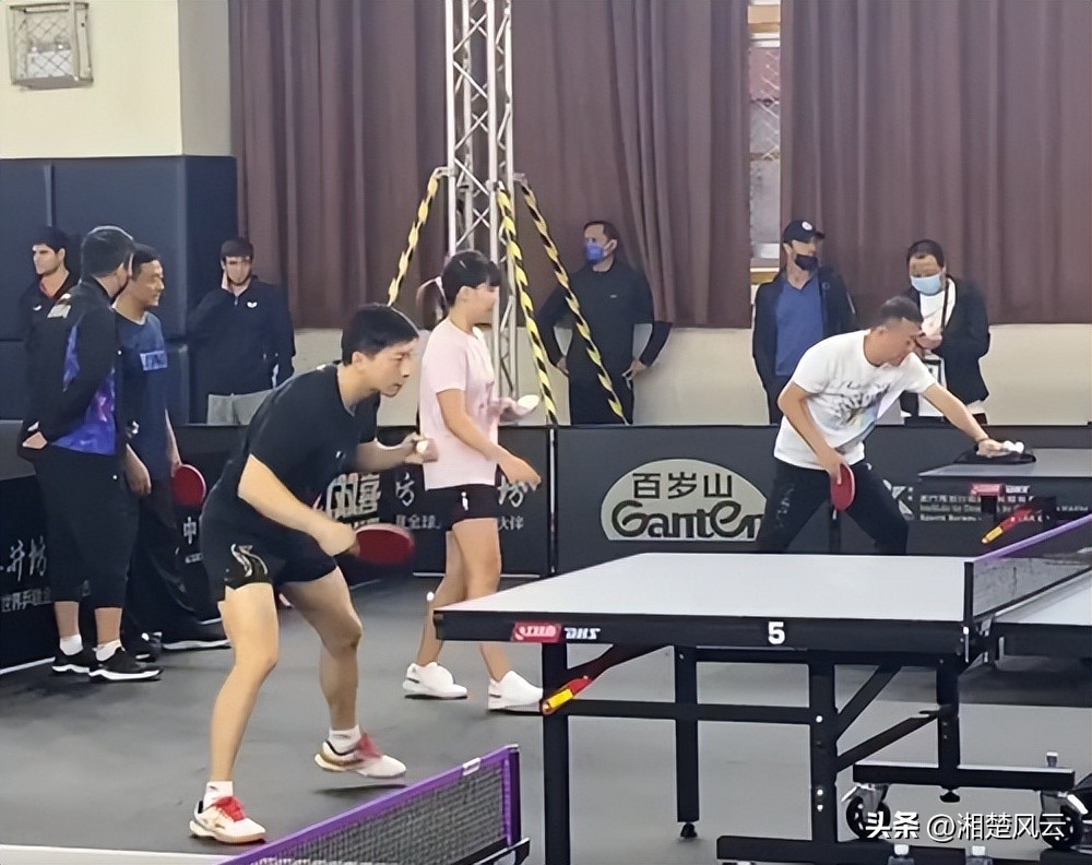 邱贻可看孙颖莎和王曼昱的对决,马琳评价王曼昱世乒赛的表现