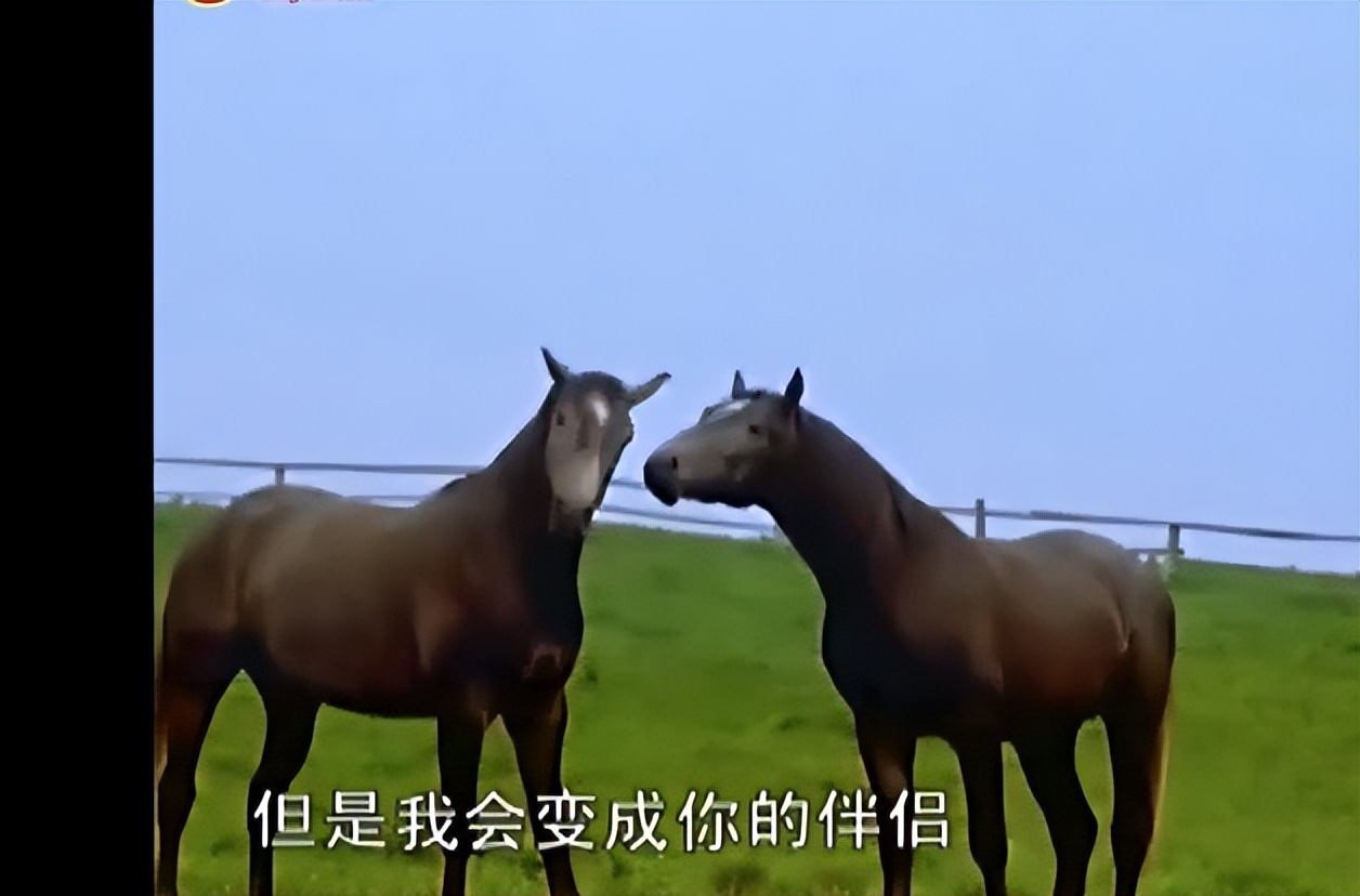 易经的智慧学习笔记阳极成阴09/144讲解曾仕强教授分享给大家