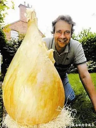 吉尼斯纪录最奇葩纪录,最奇葩吉尼斯世界纪录挑战