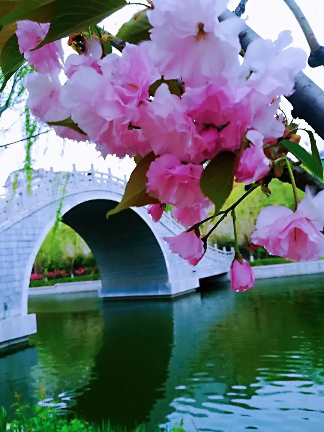 百花酿诗韵芬芳留人间（一）