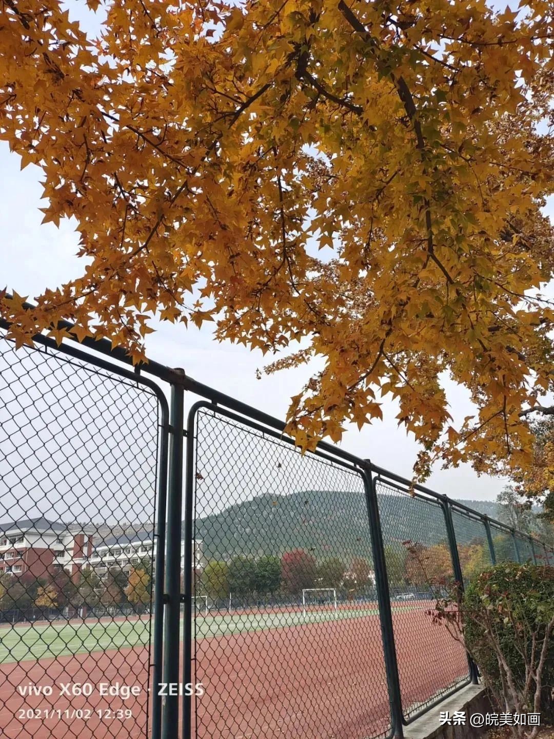 安徽大学好看的风景,高校最美秋景