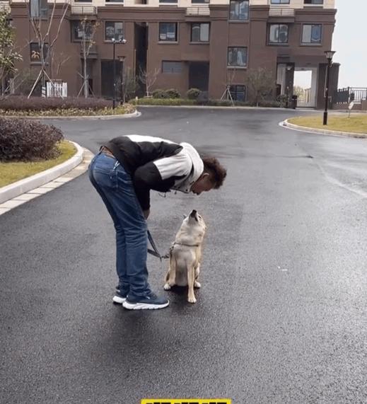 为了让狗狗不吃粑粑,我花5000元给它报了个班