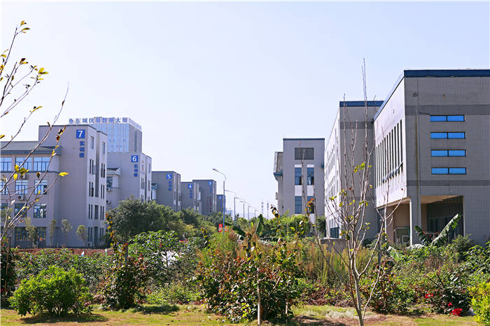 广西公办大专学校2023年单招,2020年广西单招大专院校