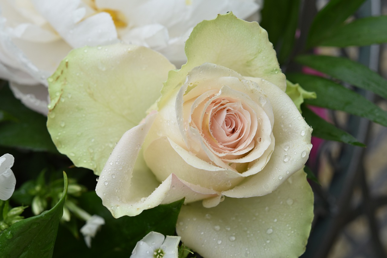 如何去试探一下男人到底爱不爱你,四个问题判断男人爱不爱你