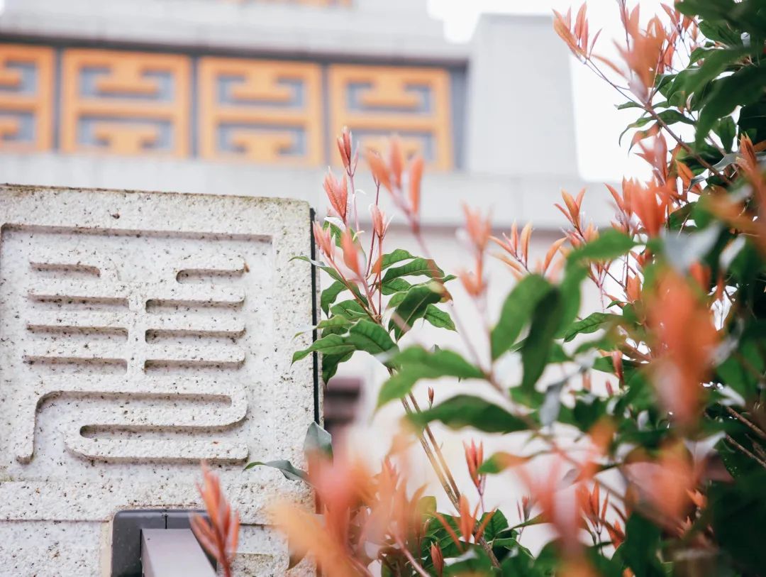 恋爱赏花没时间？四川这所高职专门放假7天过春天！谁羡慕我不说