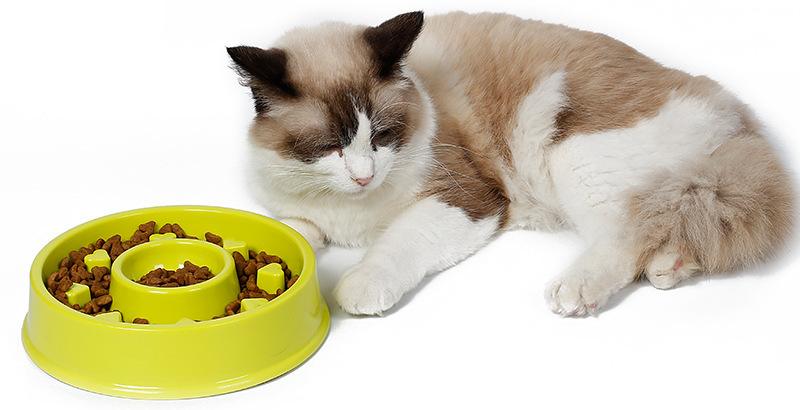 猫咪的黑下巴处理干净后又有了,猫咪得了黑下巴有偏方吗