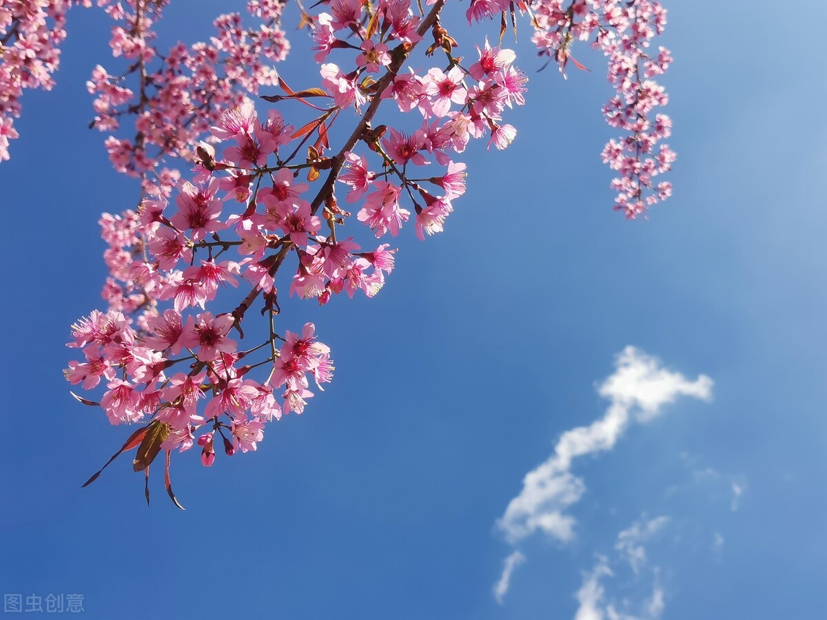 健康一切安好就是最大的福气,其实人这辈子健康才是王道