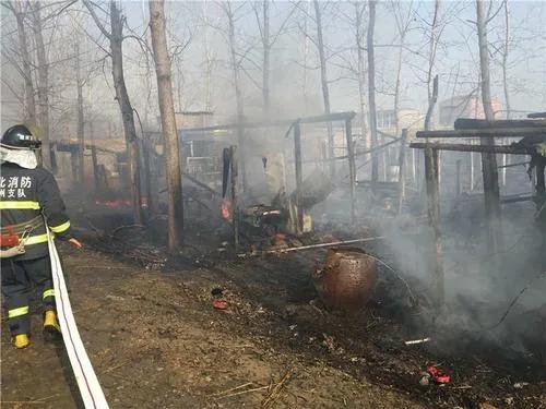 养殖水蛭一年能挣多少钱,致富经养水蛭赚500万