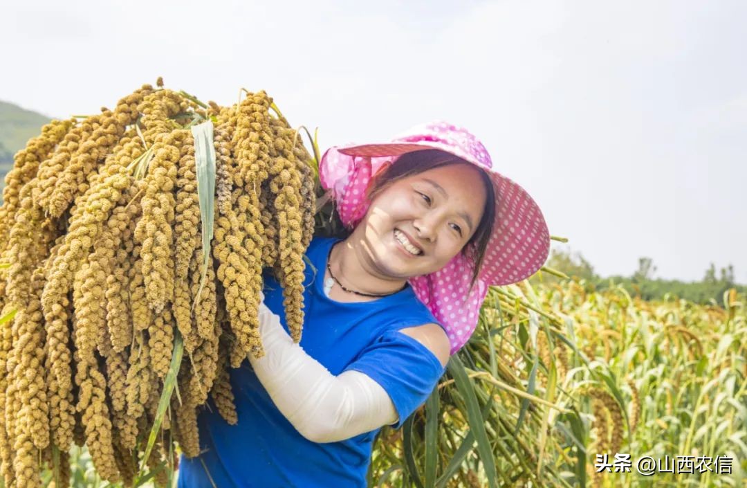 看见农信｜汇通千万里服务零距离