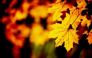 二十四节气秋分的意义,中国二十四节气之冬至