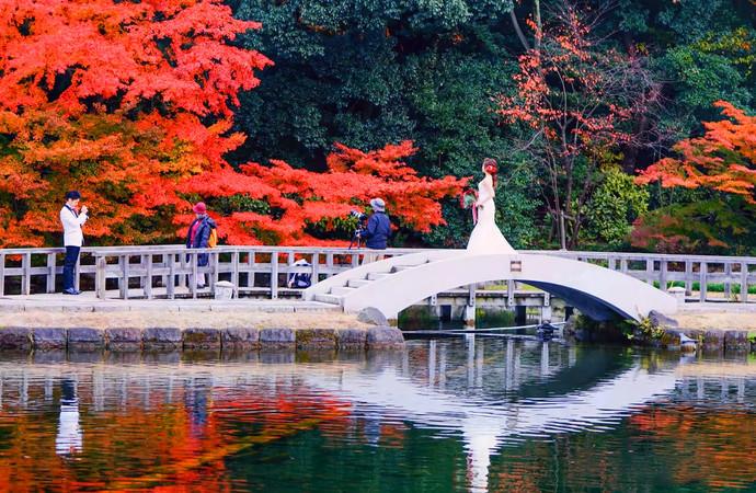 名古屋德川家,去日本名古屋旅游攻略