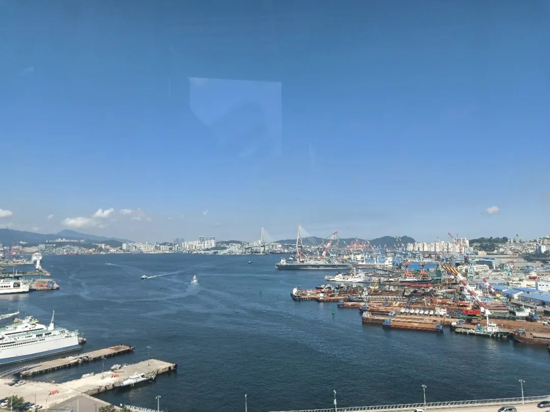 90后江江在韩国：海浪跫音，路在自己脚下