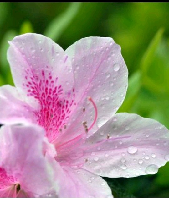 两口子三观不合是不是只能离婚,三观不合夫妻过得特别累