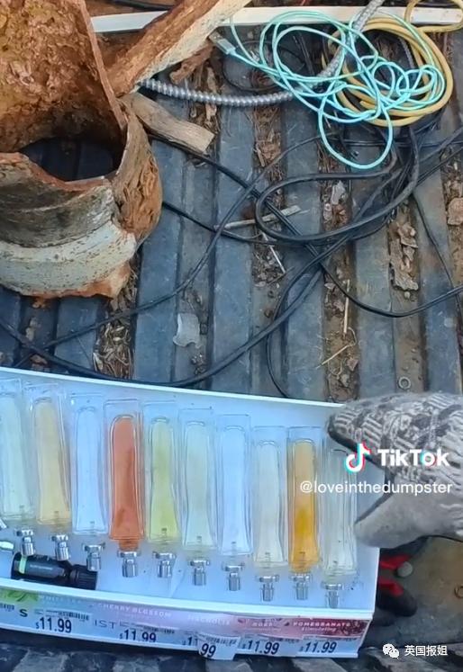 美国捡垃圾收入,美国夫妇垃圾箱寻宝