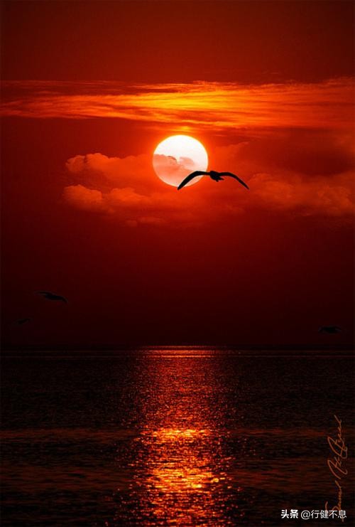 王维笔下的秋天,是一首恬静优美的诗,更是一幅赏心悦目的画